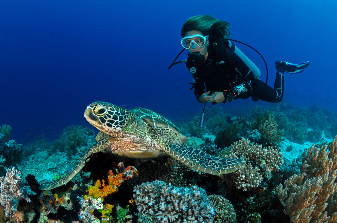 Scuba Diving Festivals: Celebrating the Ocean’s Wonders