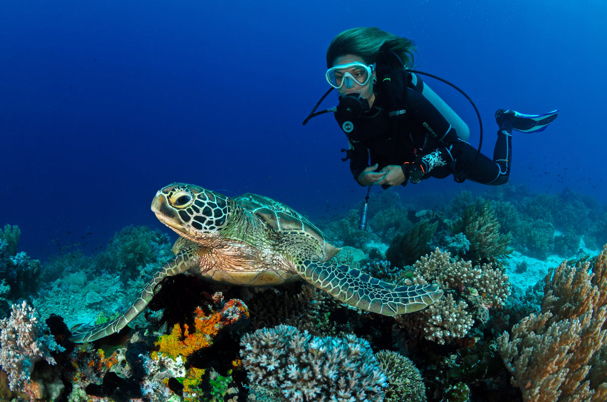 Scuba Diving Festivals: Celebrating the Ocean’s Wonders.