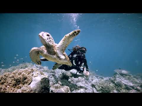 Scubapro G2 Wrist Dive Computer W/ Transmitter Smart + Pro.